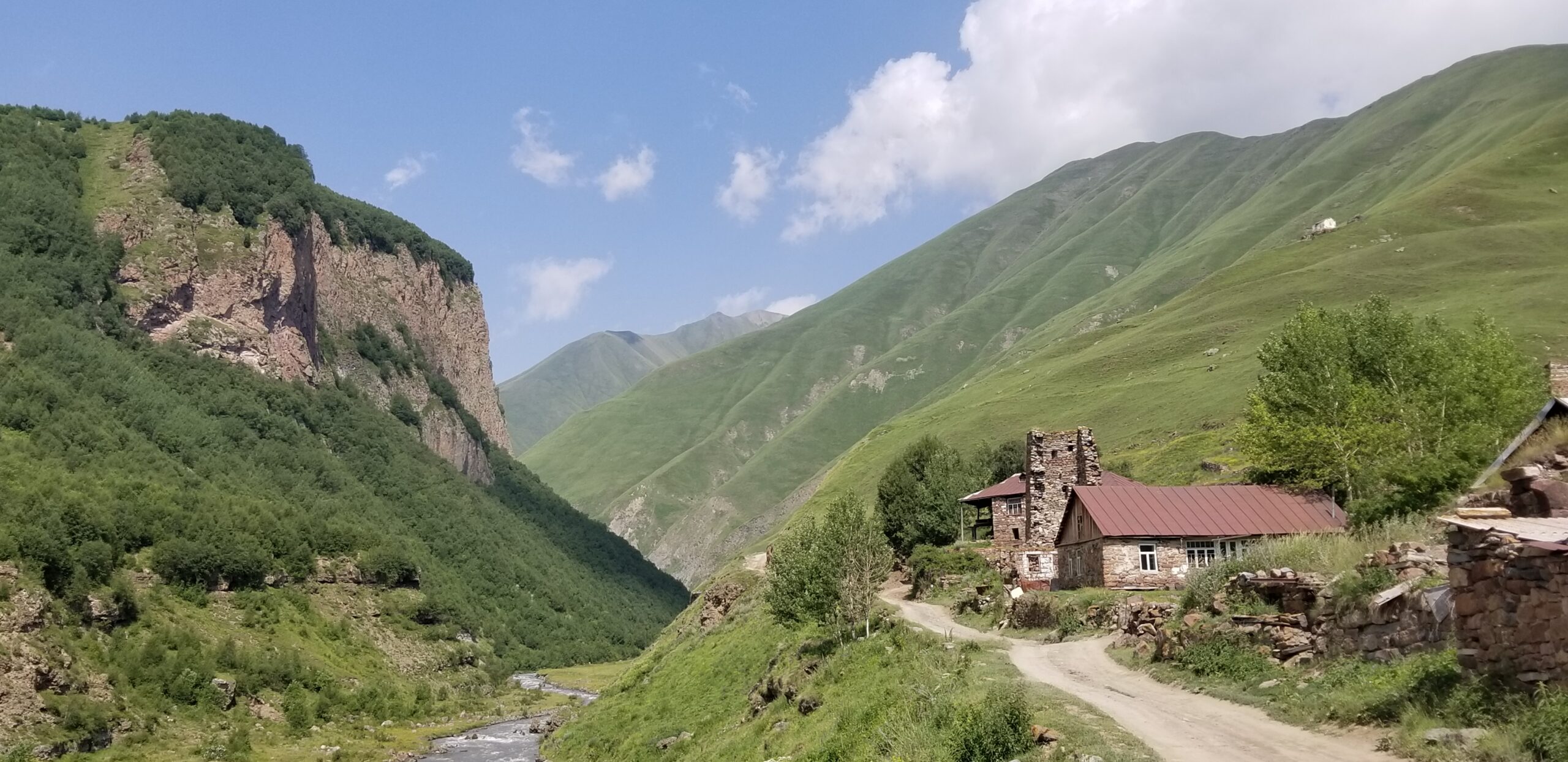 SHREDGEORGIA Home 12 20200721 110320 scaled