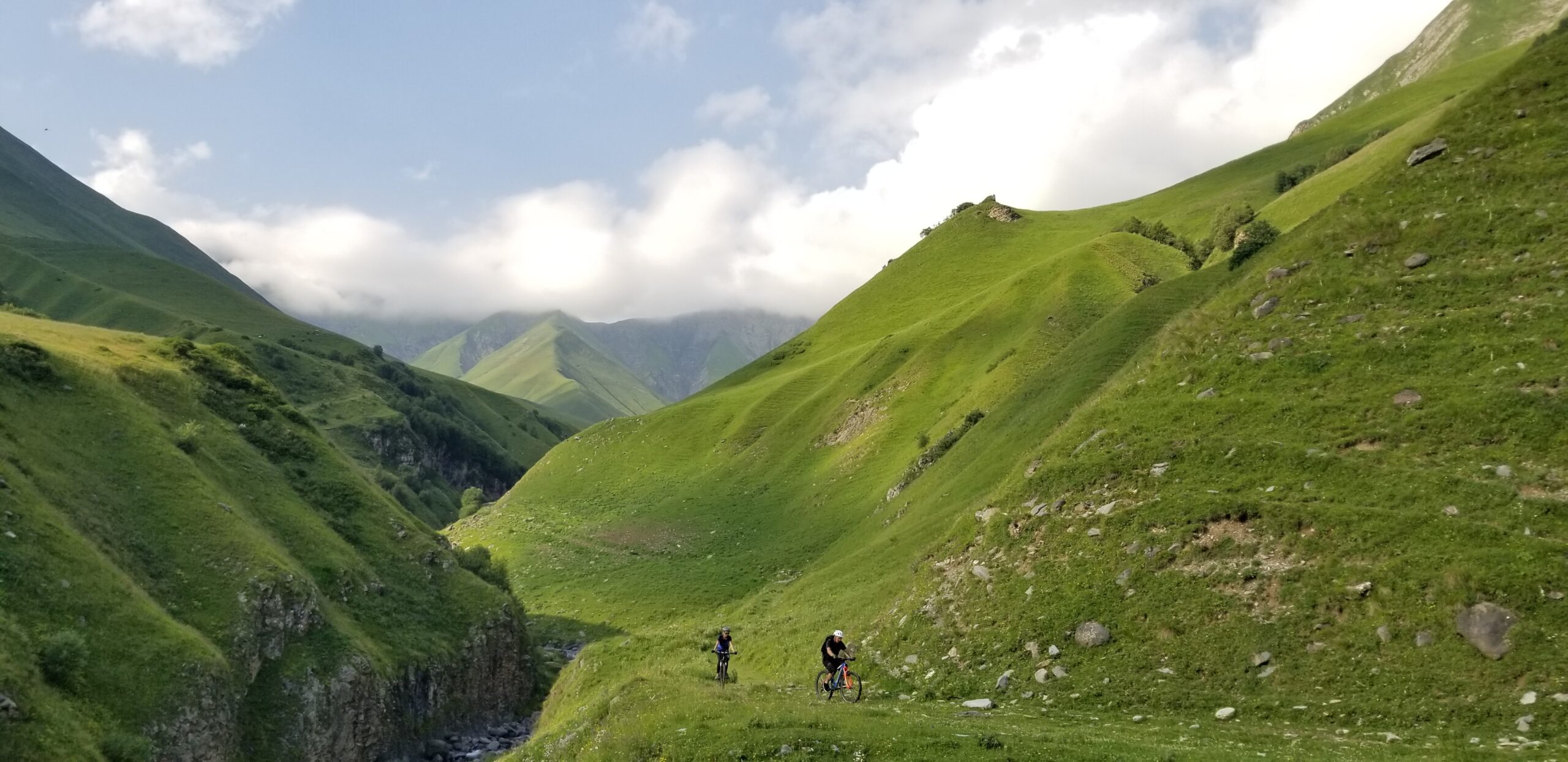 SHREDGEORGIA Home 3 20200726 172931 scaled