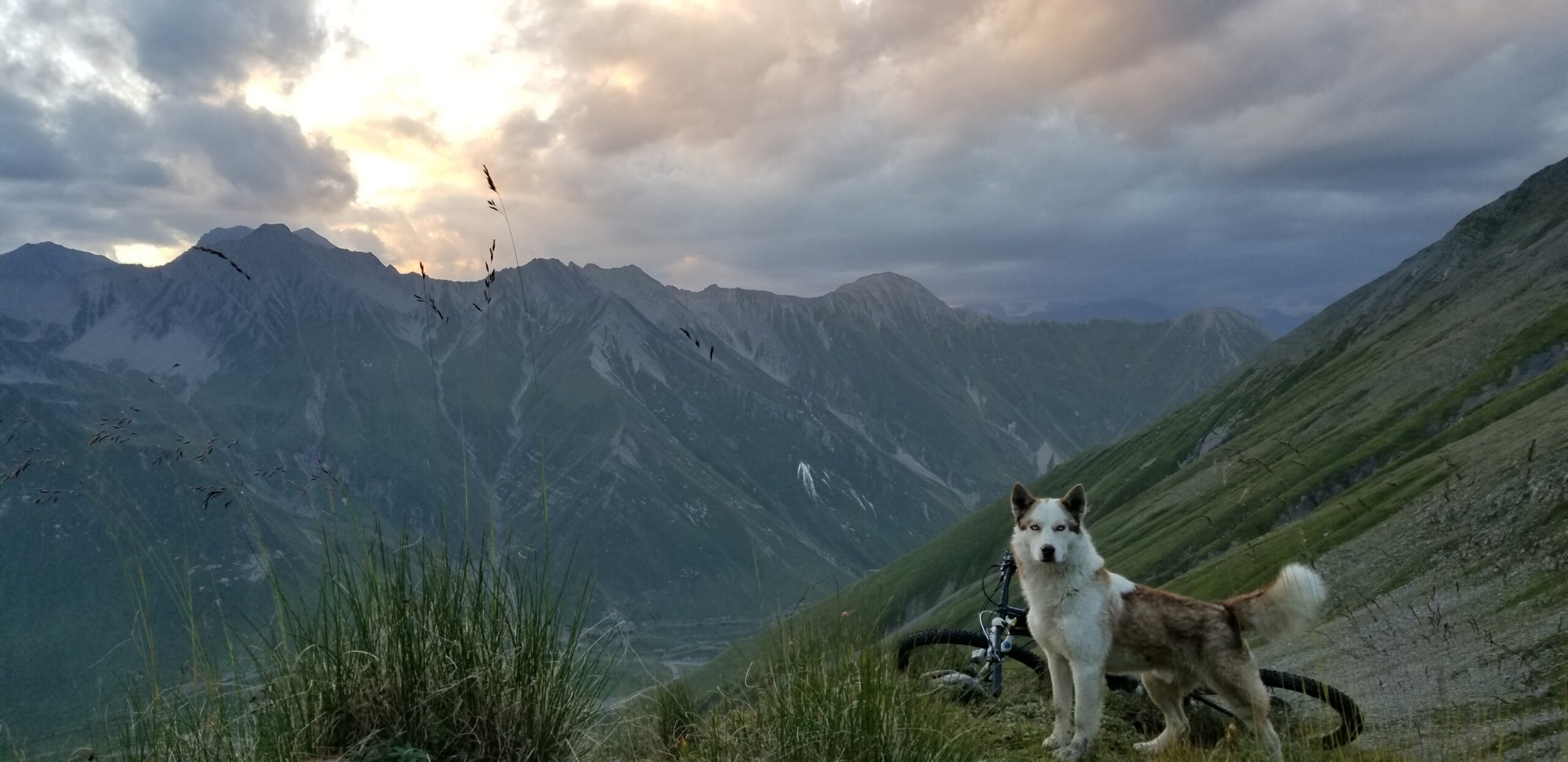 SHREDGEORGIA Home 2 20200809 1956390 scaled