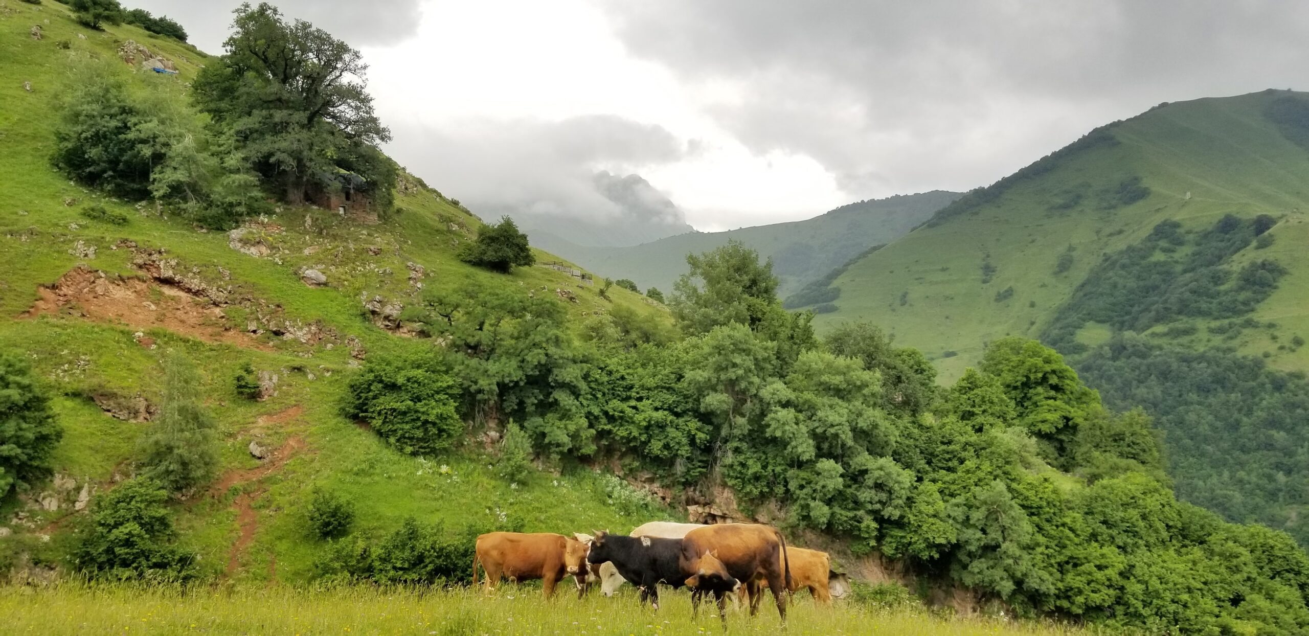 SHREDGEORGIA Home 8 20200713 134415 min scaled