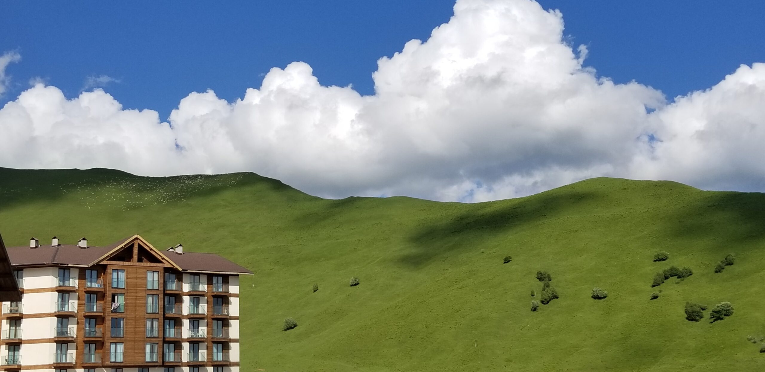 SHREDGEORGIA Home 5 20200715 165922 min scaled