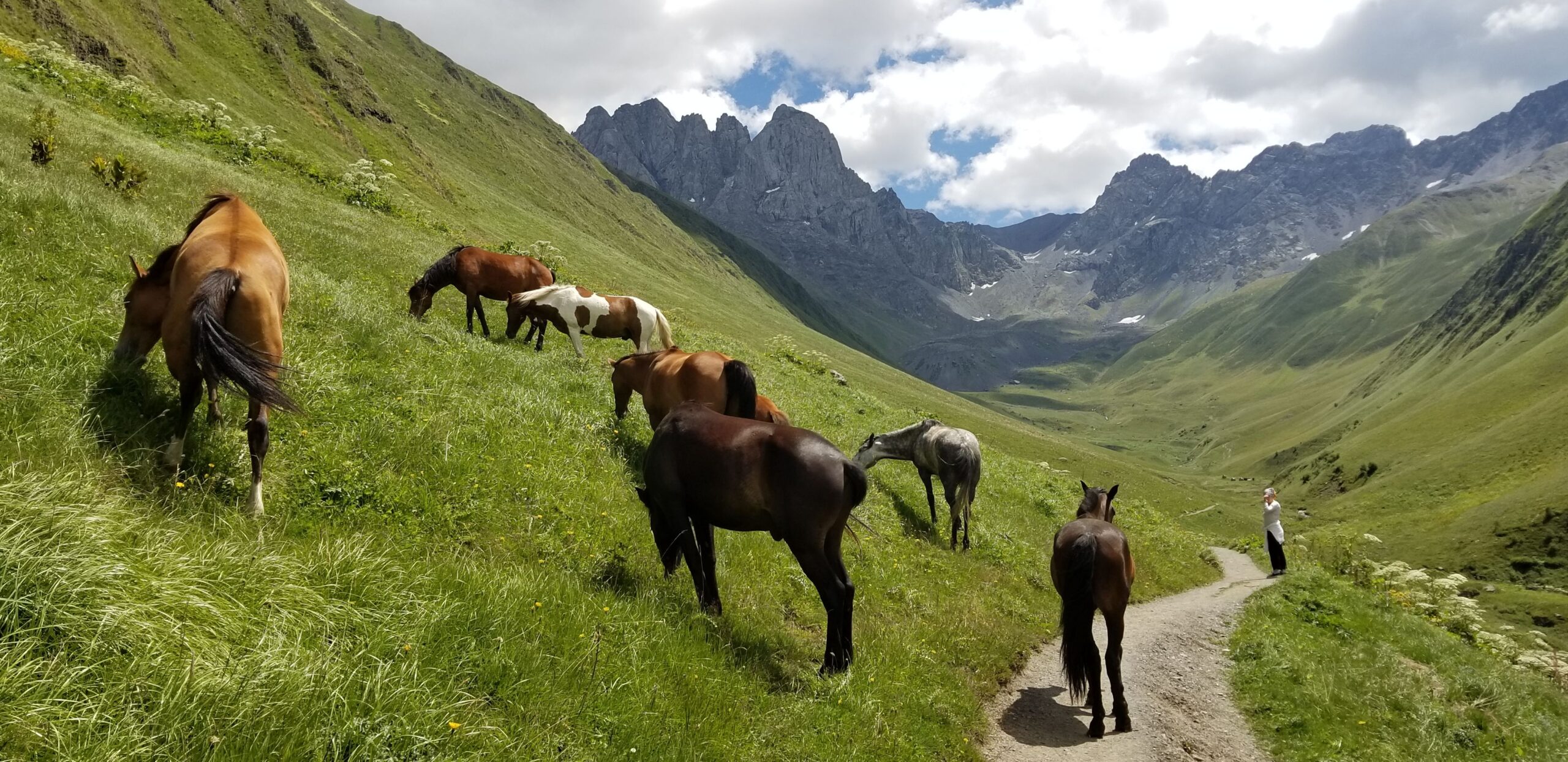 SHREDGEORGIA Home 9 20200807 134738 scaled