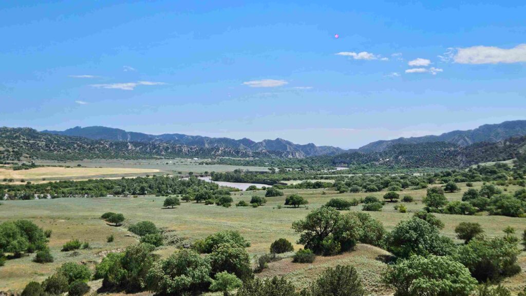 Alazani river valley with scattered trees inside Vashlovani National Park