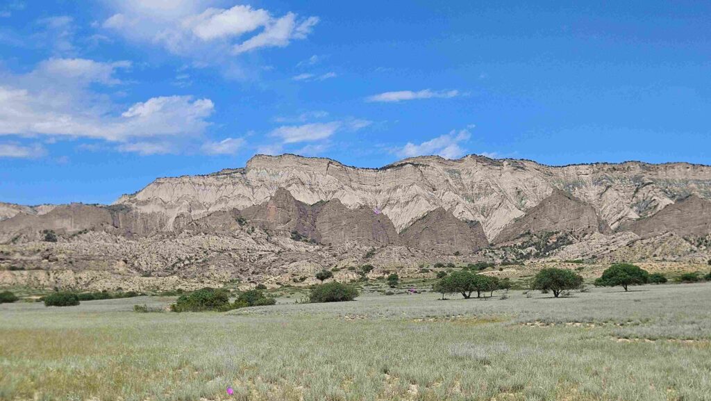 SHREDGEORGIA Vashlovani National Park MTB Tour: 3 Critical Tips You Must Know 5 20260528 144552