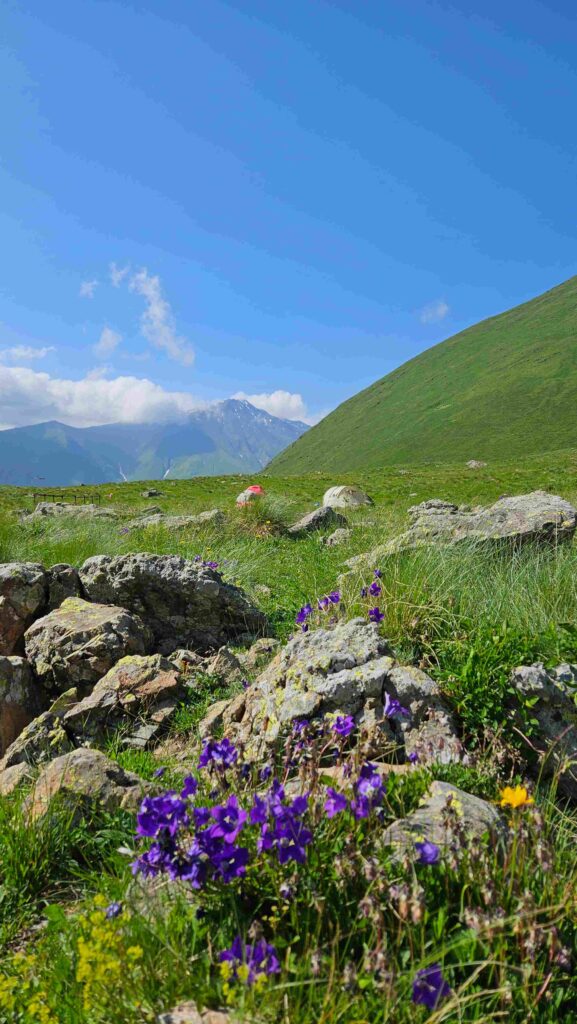 Alpine trail descending through Juta Valley with green meadows and wildflowers