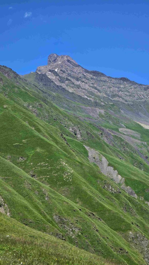 SHREDGEORGIA 2-Day Alpine MTB Epic: Riding Juta Valley & Gudamakari Pass (2,500m) with Norwegian Shredders 5 20260726 143619